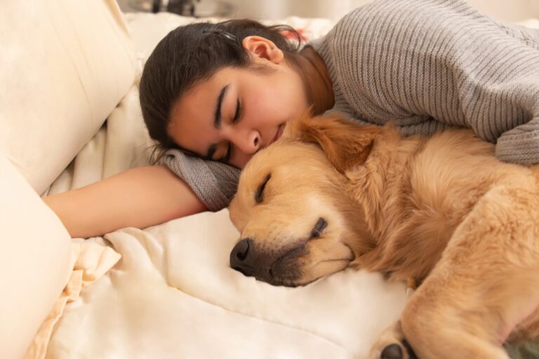 Why Co-Sleeping with Your Dog is Good for Your Health